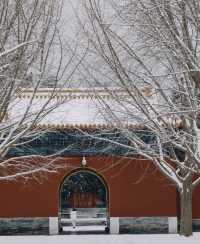 北京中山公園 | 古風紅牆靠白雪