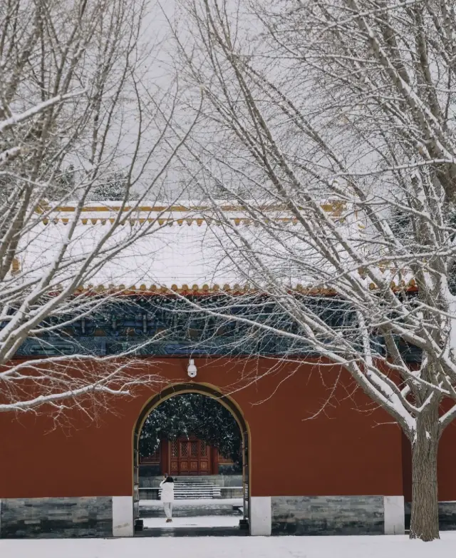 สวนสาธารณะจงซานในปักกิ่ง | กำแพงแดงแบบดั้งเดิมอยู่ข้างหิมะขาว