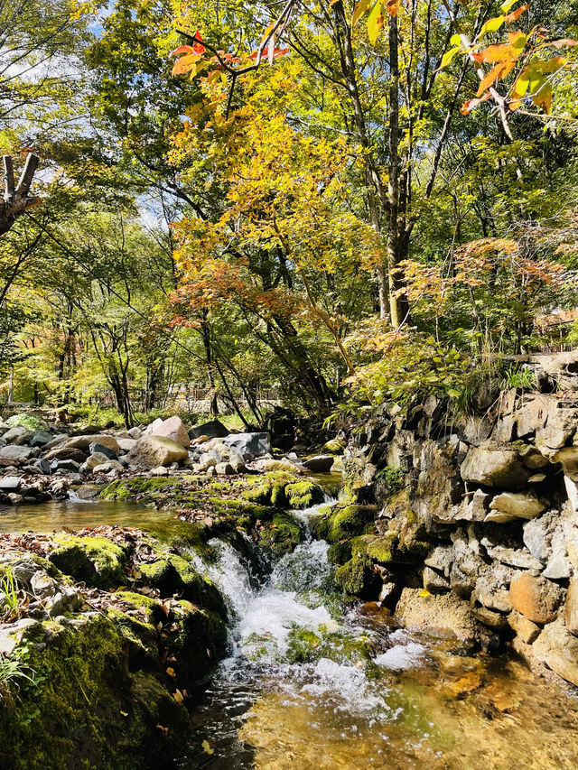 《關門山生態大峽谷景區》賞楓好去處