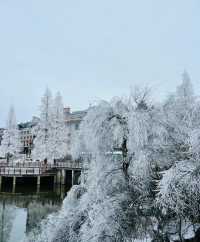 九宮山初雪|武漢周邊不容錯過的霧凇美景