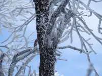不是四姑娘山去不起，而是龍王山更有性價比