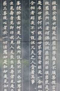 發現上海|真如寺真的好,就是鴿子shi太多咯