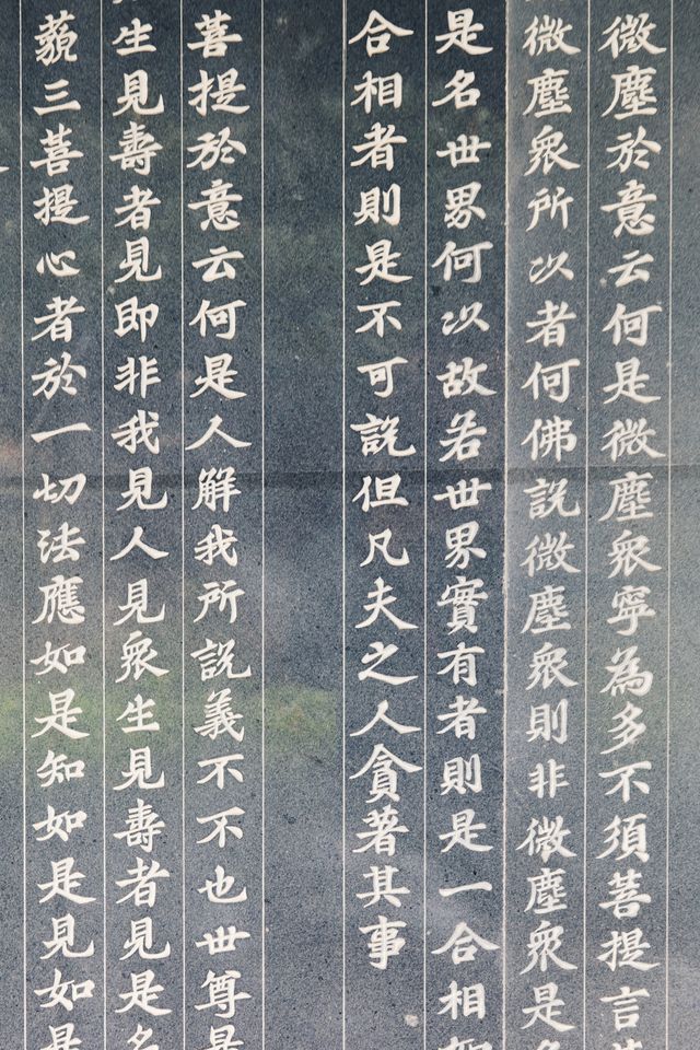 發現上海|真如寺真的好,就是鴿子shi太多咯 發現上海|真如寺真的好,就是鴿子shi太多咯