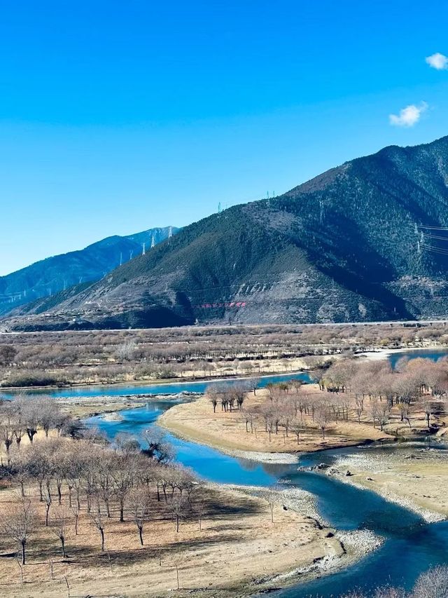 西藏林芝尼洋河濕地