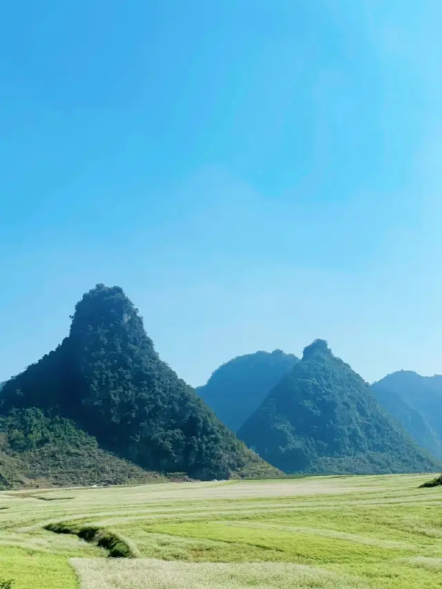 Gengwang Lake in Nanning, Guangxi, is a place that makes you feel like you're on an alien planet