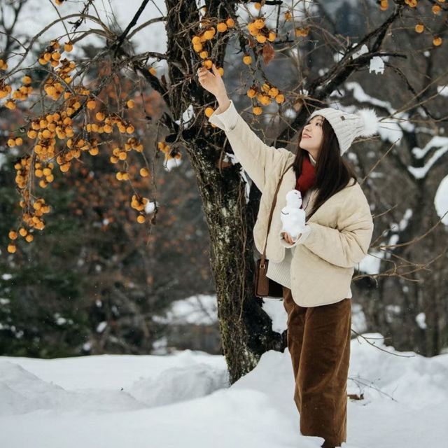 日本跨年|比北海道更美的童話雪景白川鄉