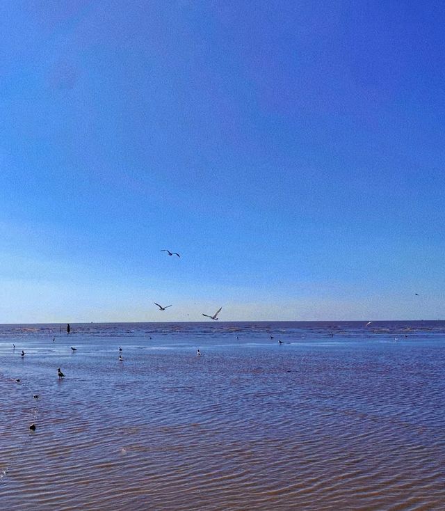 小歡海島|丹東 東港大鹿島算小眾海島