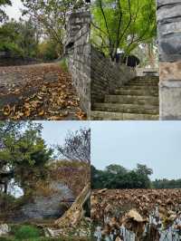 揚州文旅局你不宣傳這你糊塗啊小眾景點朴園親身體驗