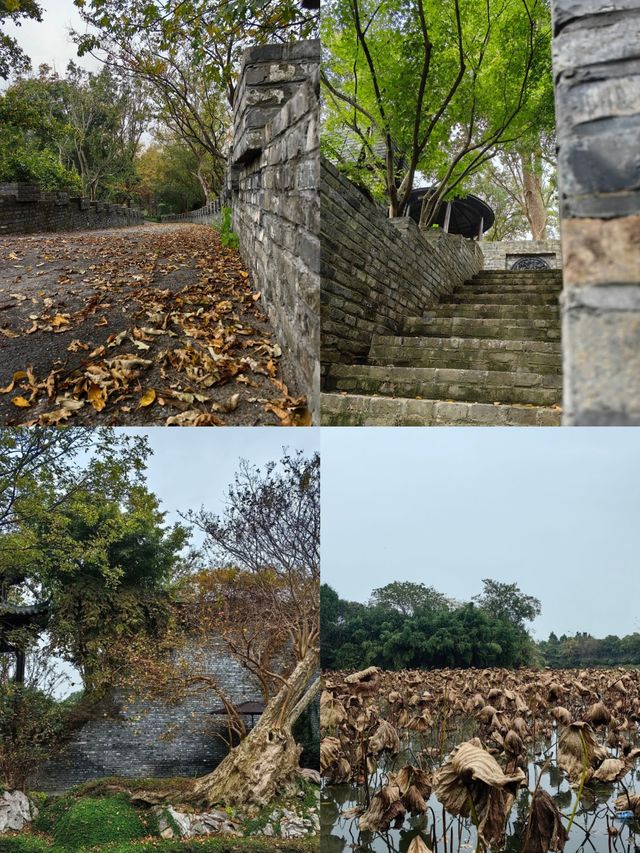 揚州文旅局你不宣傳這你糊塗啊小眾景點朴園親身體驗