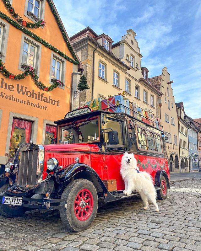 Smol polar bear explores 📍Rothenburg ob der Tauber during the Christmas season! 🎄😍