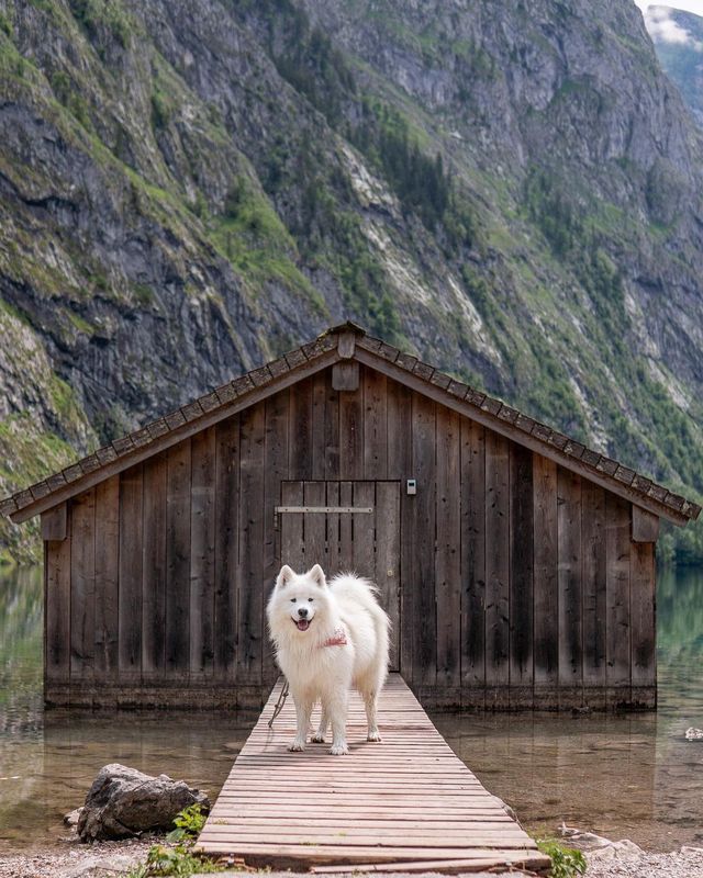 🐐😜 Get ready for some mountain adventure with this little goat! Happy Friyay! 🏞️🇩🇪