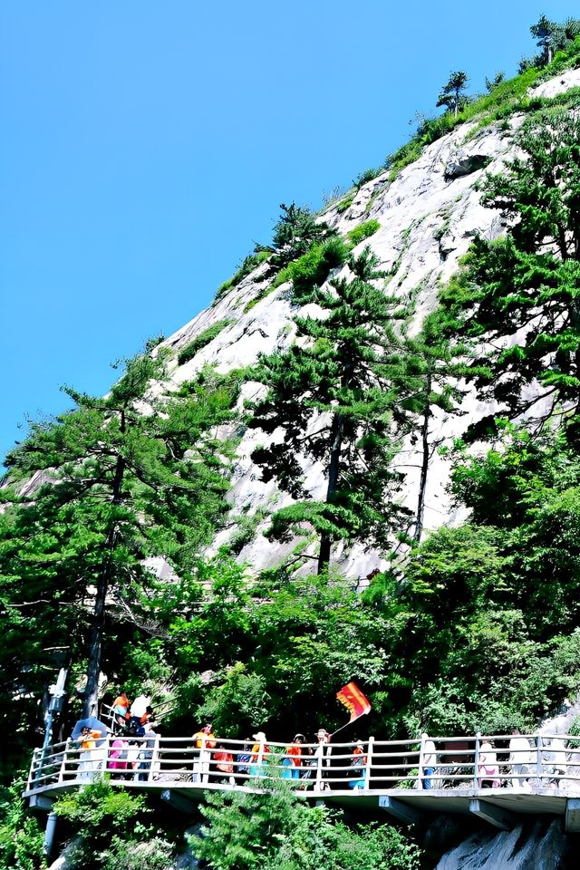 河南老君山｜山不在高，有仙則靈！