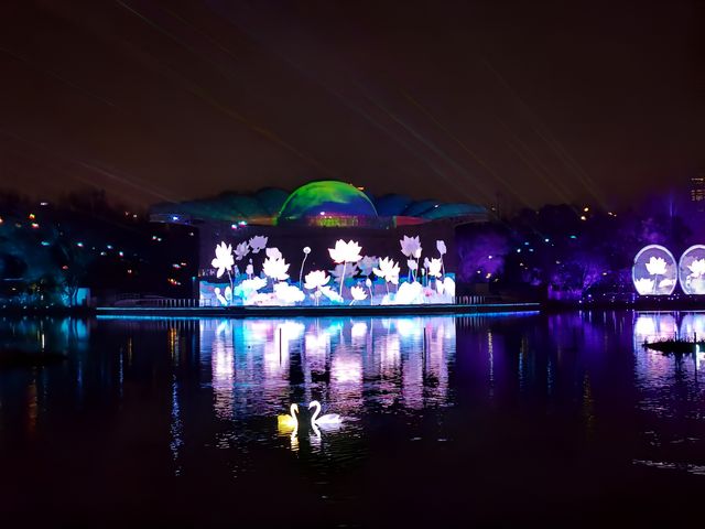 朝陽燈光節（朝陽公園）