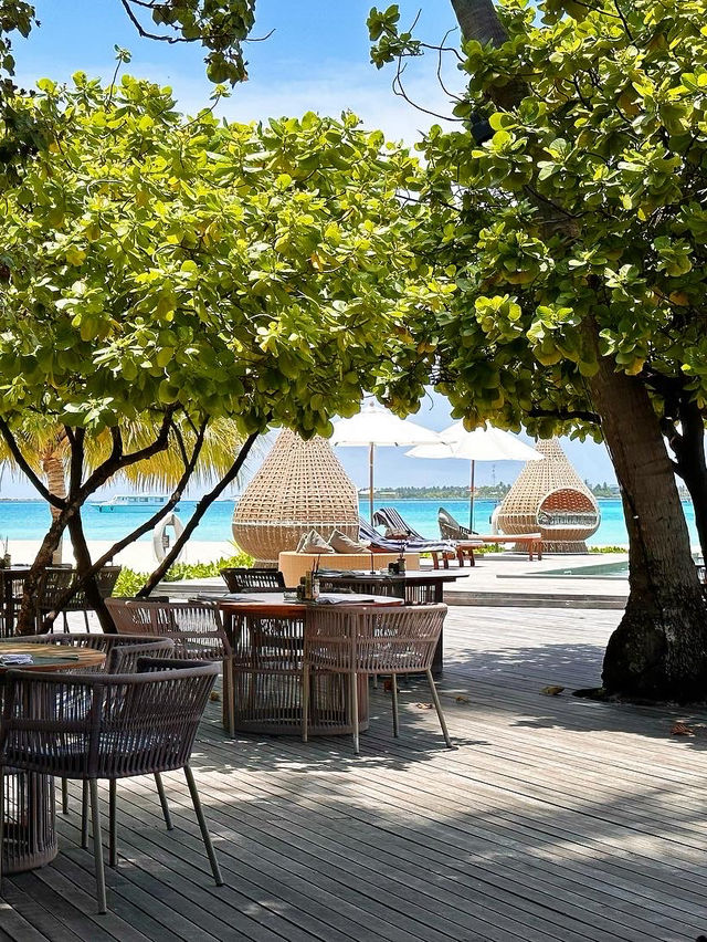 馬爾代夫薇拉瓦魯島悅椿度假村～安逸舒適的度假時光太棒啦！