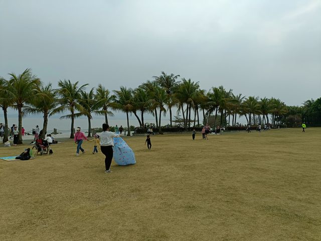 探索自然與繁華：深圳紅樹林與歡樂海岸雙重體驗之旅