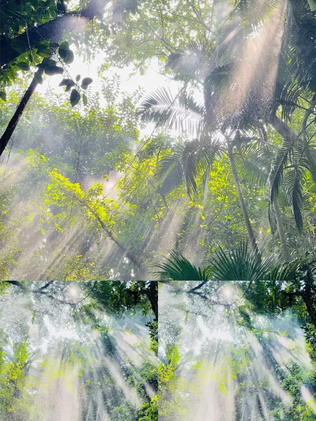 青青世界-恐龍熱帶森林宛如仙境
