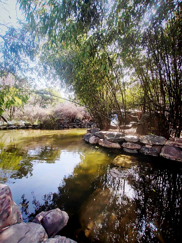 隨春天的腳步來豐慶公園一同感受暖陽、鮮花吧