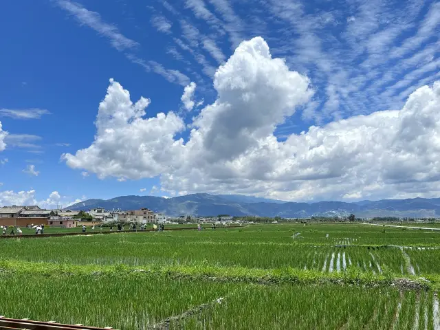 ここでは足を遅めて、心の平和を探すことができます