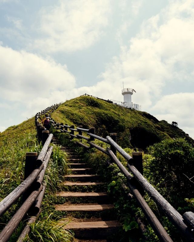 濟州島牛島超全攻略指南|吃喝玩樂一網打盡