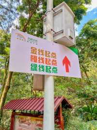 在佛山！不在泰國！飛越叢林我來啦！！！