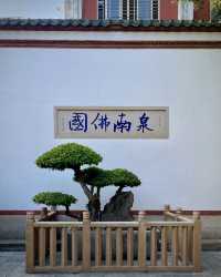 泉州｜月台別院 承天禪寺