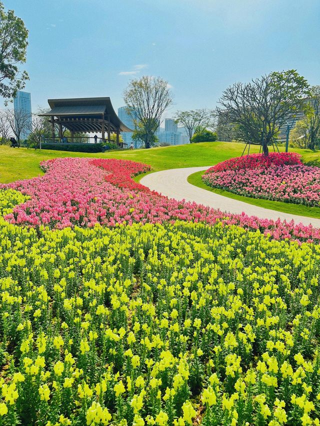 深圳桂灣公園｜城中“水廊道”