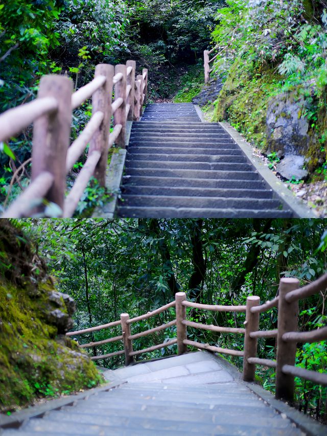 四川—峨眉山三刷全攻略！