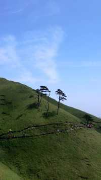 萍鄉武功山