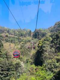 青城山前山小時登頂旅遊攻略