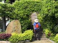 長沙·黑麋峰森林公園徒步