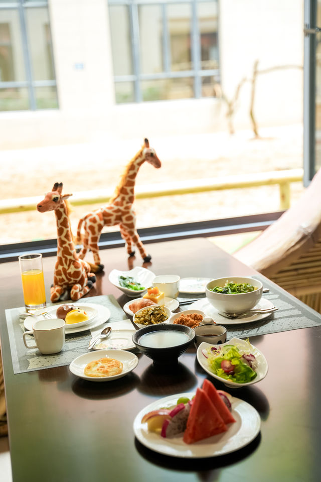 與長頸鹿一起享受陽光早餐的人生新體驗
