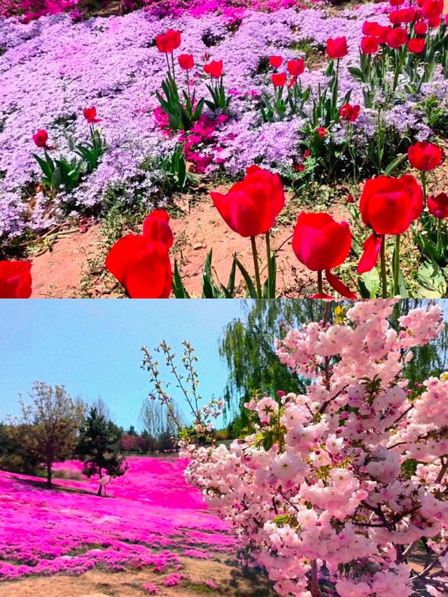 在大連，有一處宛如仙境的地方——英歌石植物園