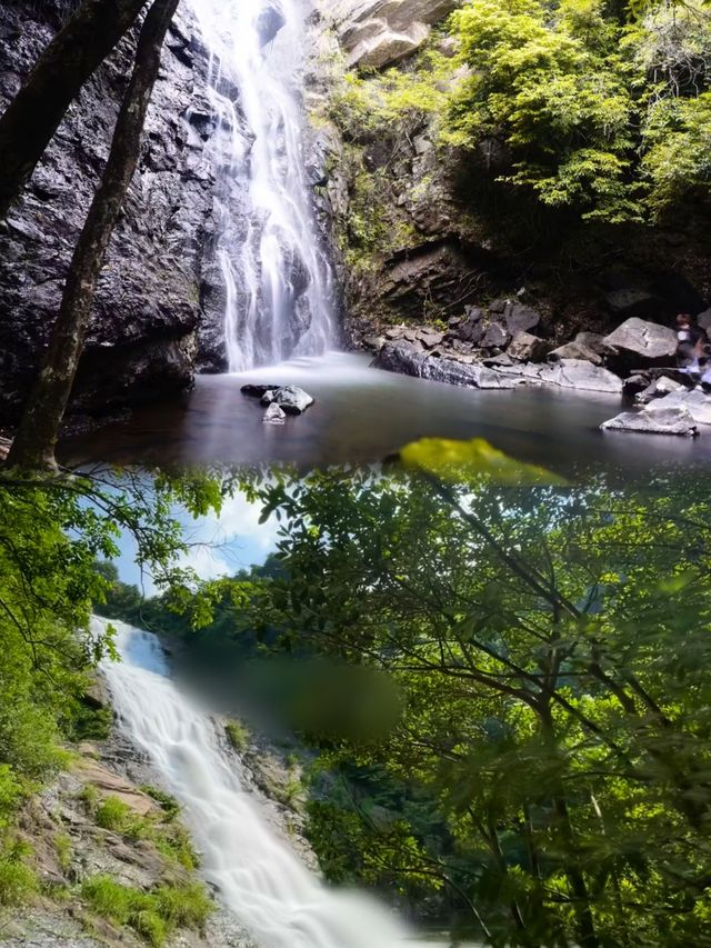 深圳週末山野漫步吸氧最推薦的郊野公園