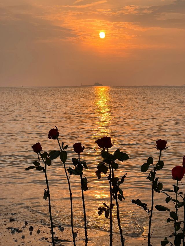 今天的橘子海日出太美了