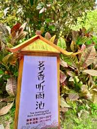 周末遛娃的好地方/翔順金水台溫泉小鎮