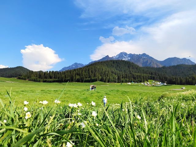 鹿角灣風景區