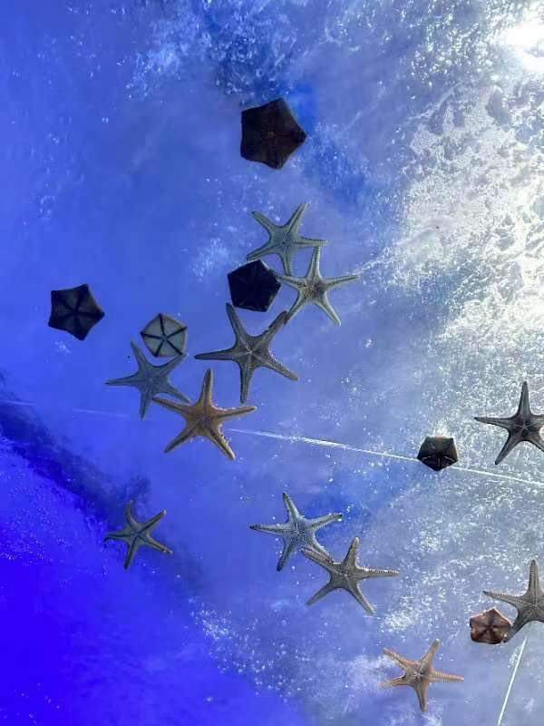 用偶像劇的方式打卡青島超全攻略。