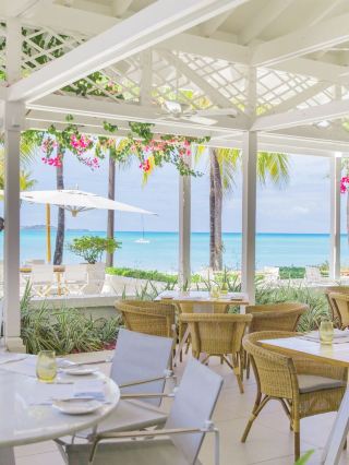 🌴🛏️ Antigua's All-Inclusive Paradise: Jumby Bay Island 🌞