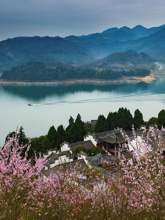 高鐵直達寶藏小城，登山露營峽谷雲海全都有！