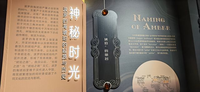 天津博物館之瞬間與永恆-波蘭琥珀文化藝術展