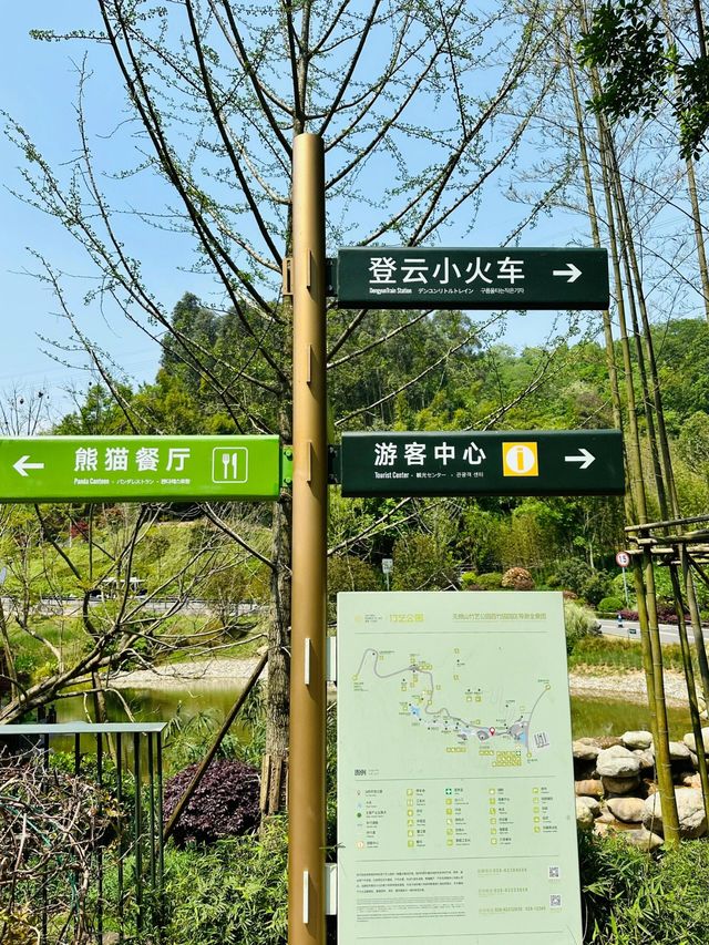 六一帶娃去坐小狗火車划船 徒步遊玩吧～