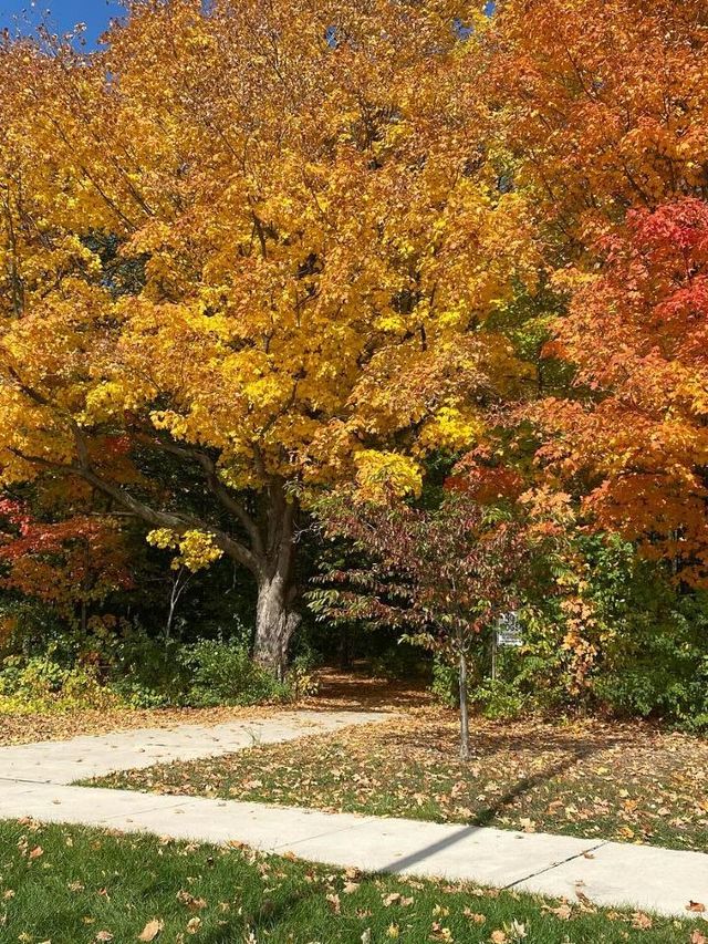 🍂Fall in Love with Plymouth's Hidden Trails🍁