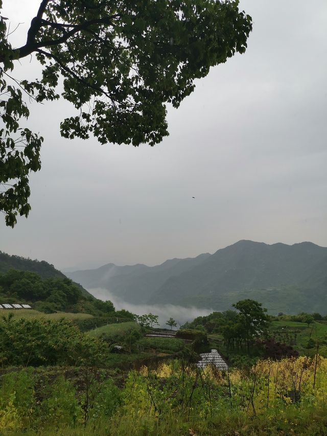 新昌鹽幫古道