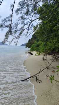 去麗貝島，小馬代名不虛傳