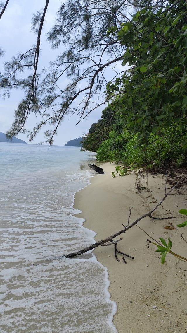 去麗貝島，小馬代名不虛傳