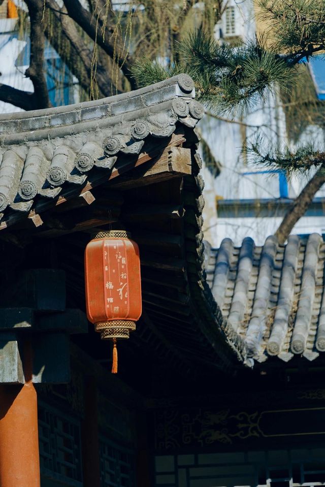 山西·太原|碑林公園打卡