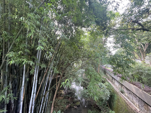 從化廣東溫泉賓館裡面的白石山