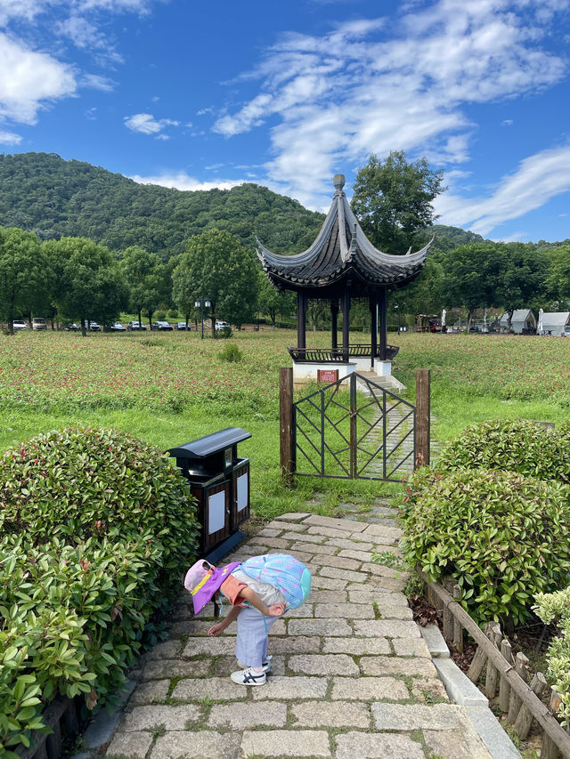 聽說這裡號稱南京小新疆
