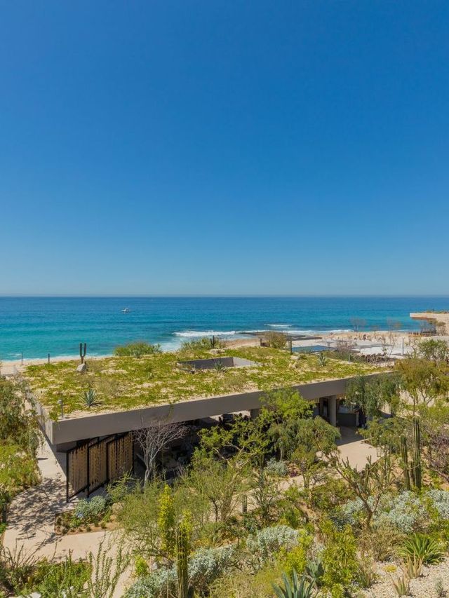 🌟 Cabo Getaway: Luxe Villas & Ocean Views 🌊