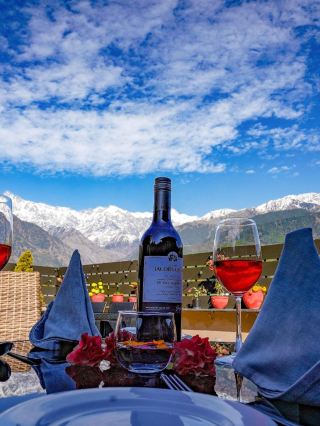🌄✨ Palampur's Hidden Gem: Infinitea Tea Garden Resort 🏞️🛌
